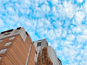 你看，天上的云好像棉花糖